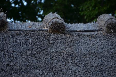 22praznikobcinekuzma (66)